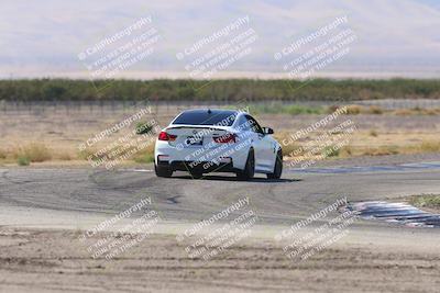 media/Oct-04-2025-OnGrid (Sat) [[44bd565ffa]]/Green Group/Grapevine/